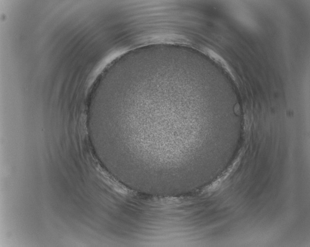 X0000069381019200605192143