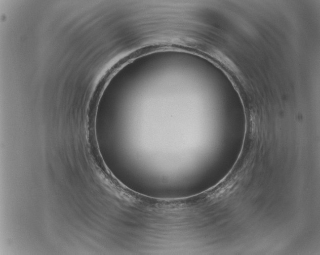 X0000069381020200605192143