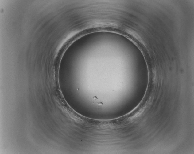 X0000069381021200605192143