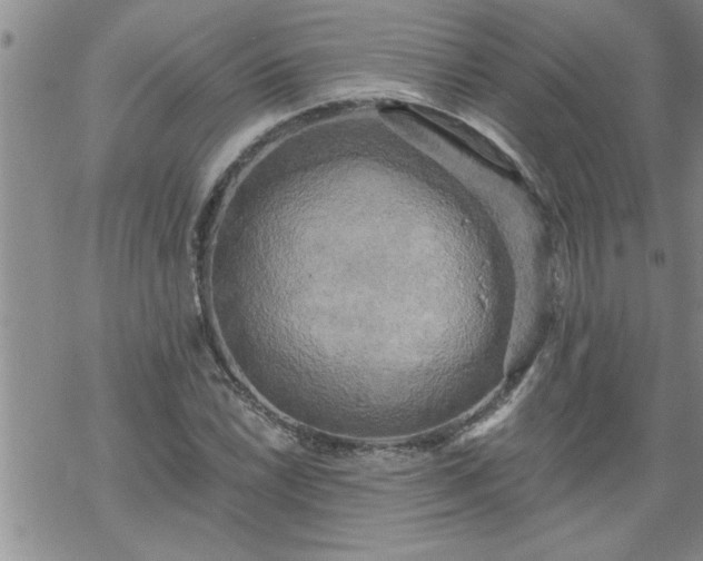 X0000069381022200605192143