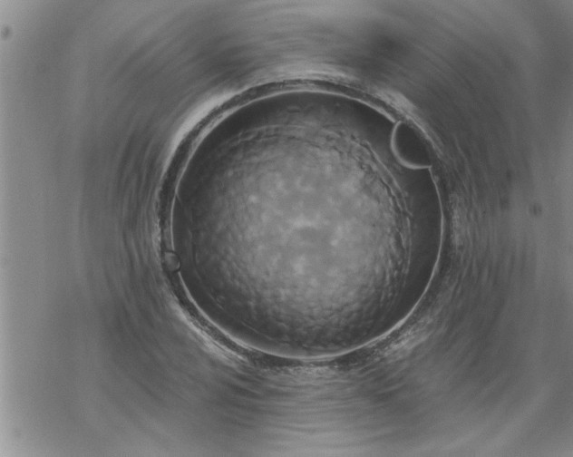 X0000069381024200605192144