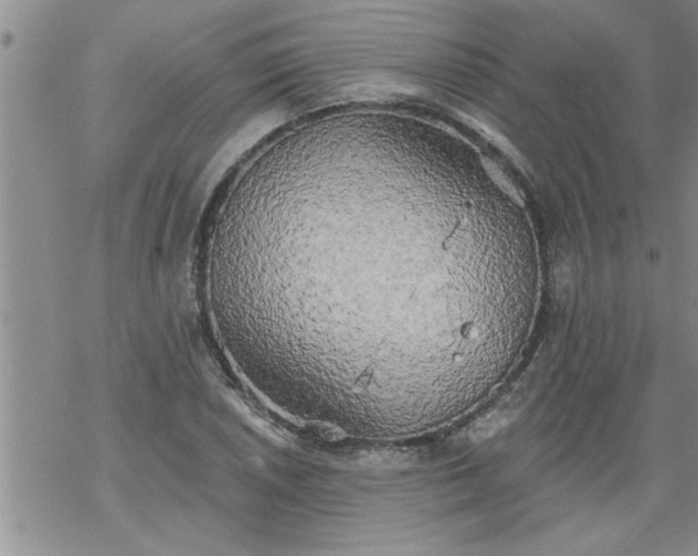 X0000069381026200605192144