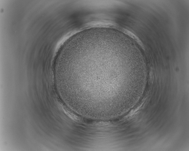 X0000069381027200605192144