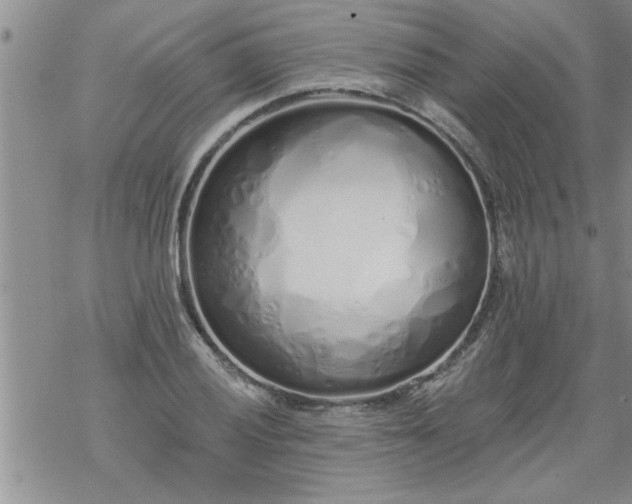 X0000069381028200605192144