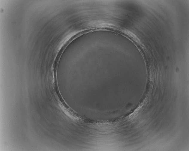 X0000069381031200605192144