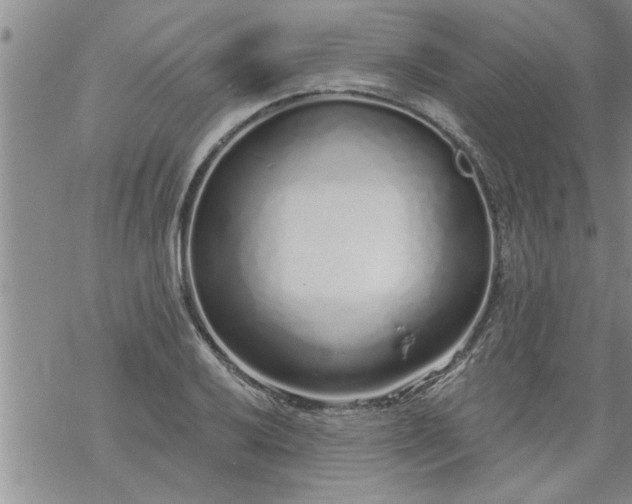 X0000069381032200605192144