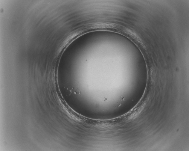 X0000069381033200605192144