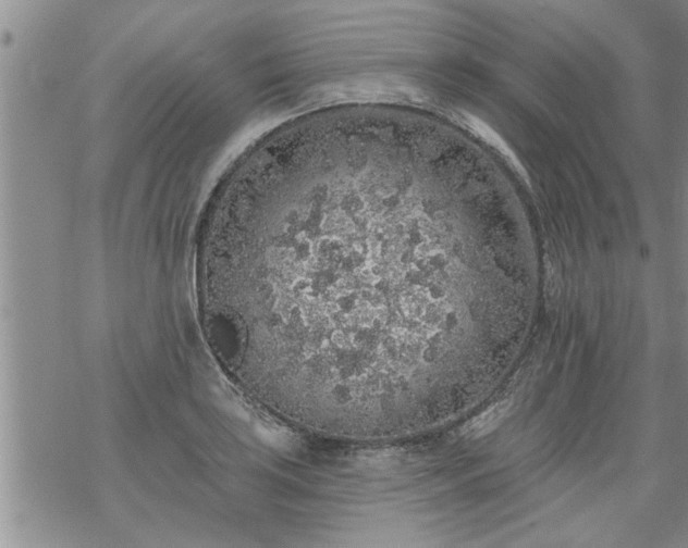 X0000069381035200605192144