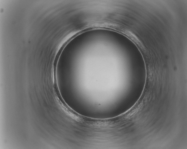 X0000069381036200605192144