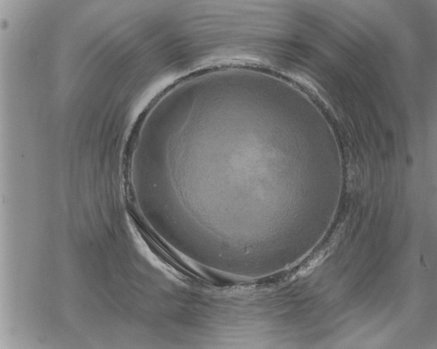 X0000069381038200605192144