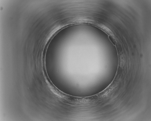 X0000069381039200605192144