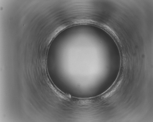 X0000069381041200605192144