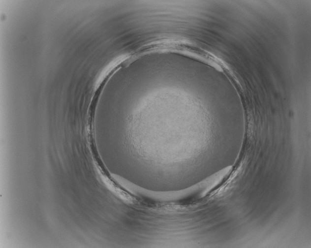 X0000069381042200605192144