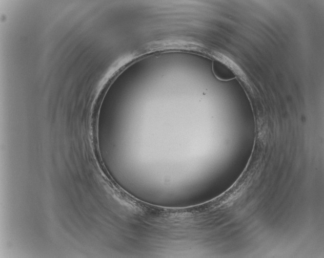 X0000069381043200605192144