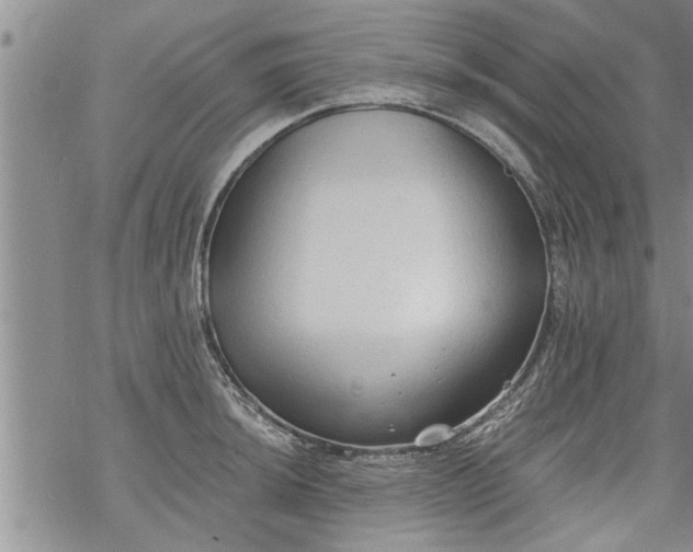 X0000069381044200605192144