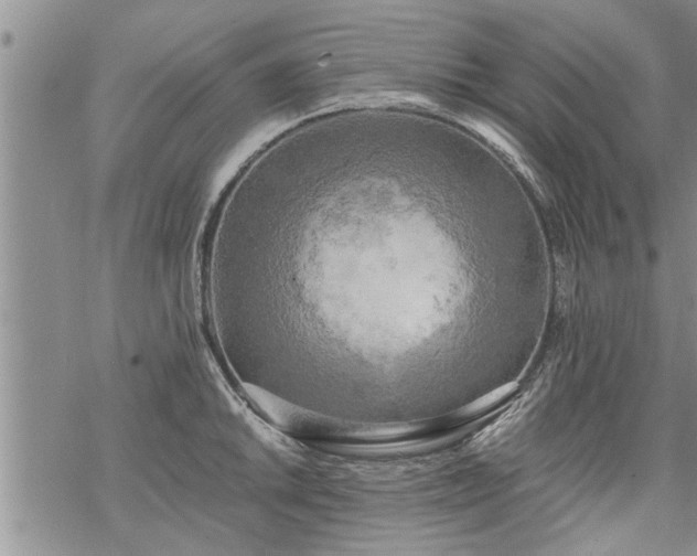 X0000069381046200605192144