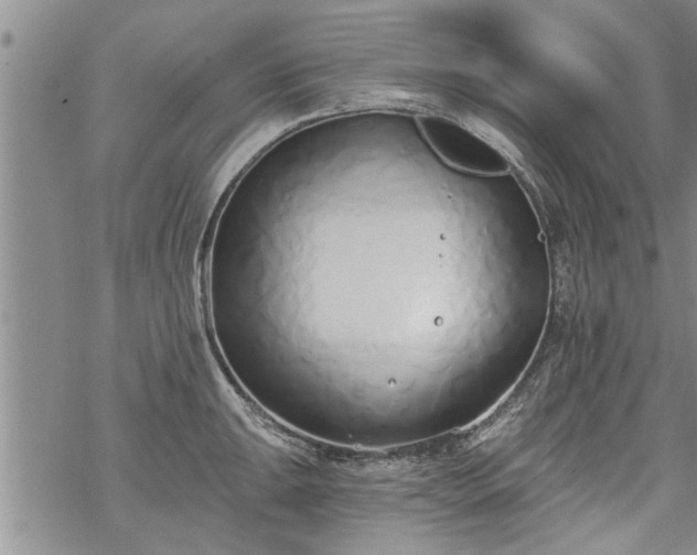 X0000069381047200605192144