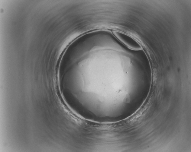 X0000069381048200605192144