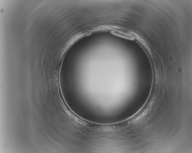 X0000069381049200605192144