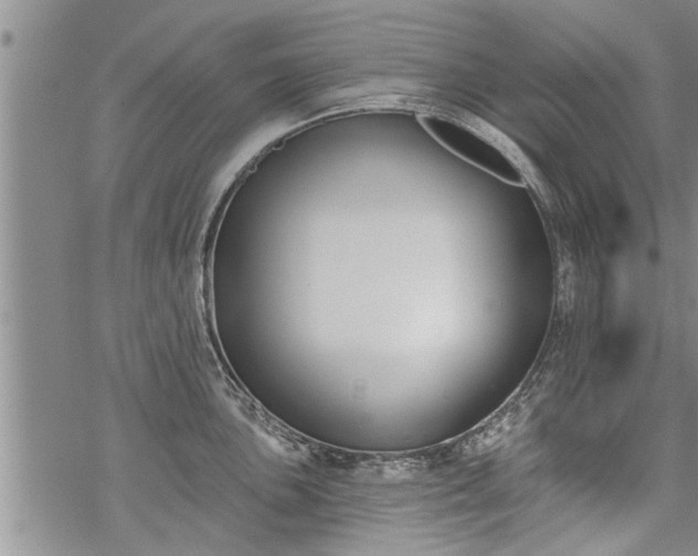 X0000069381051200605192144