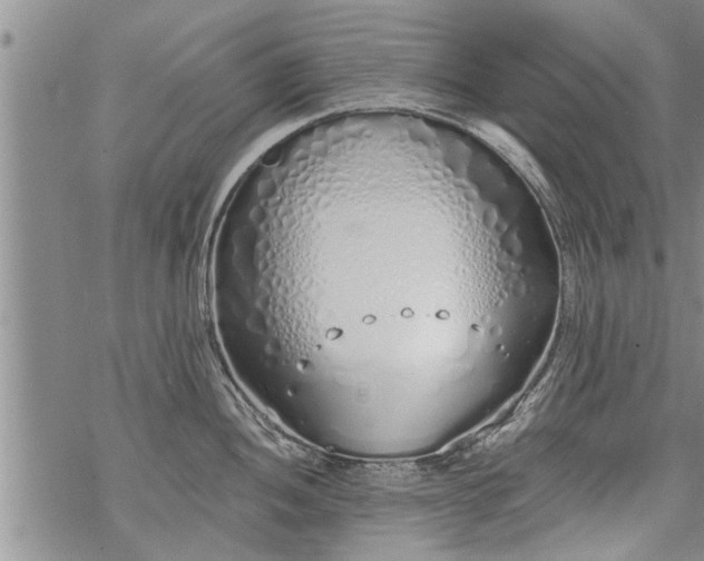 X0000069381052200605192144