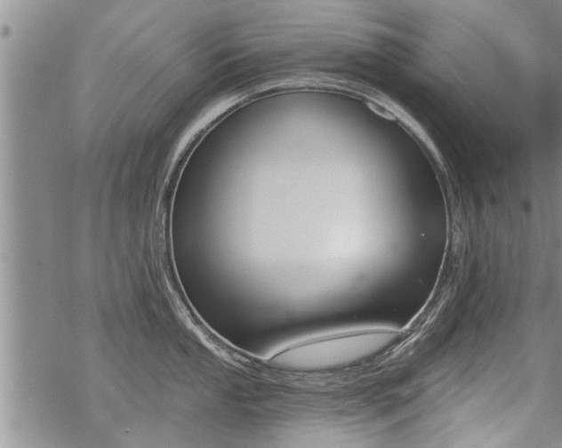 X0000069381053200605192144