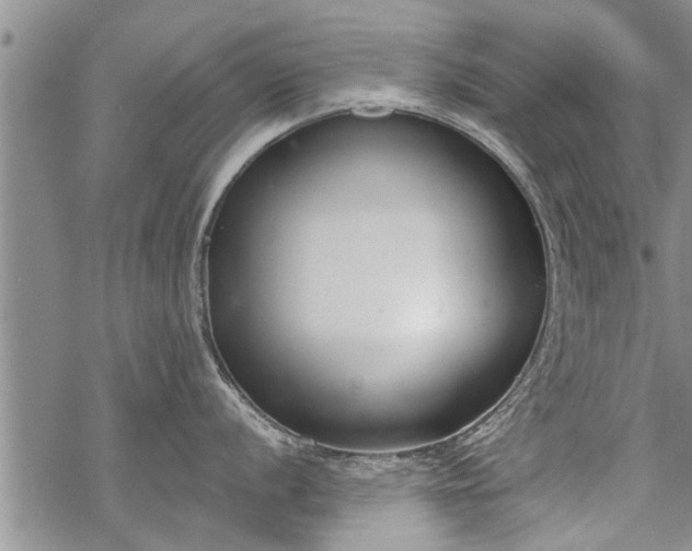 X0000069381056200605192144