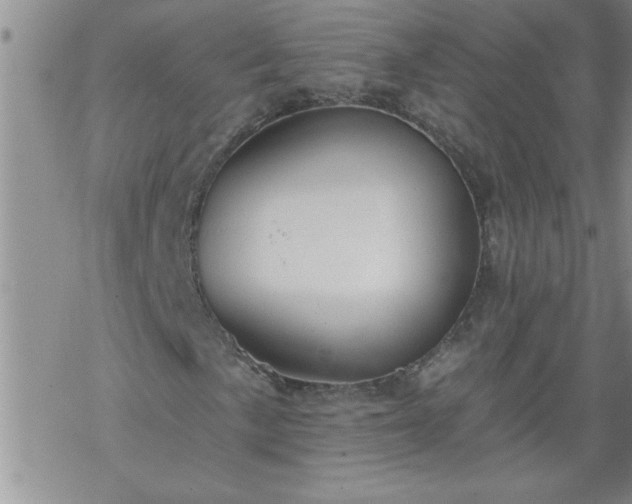 X0000069381057200605192143