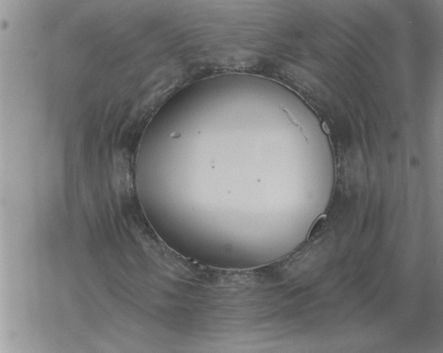 X0000069381058200605192143