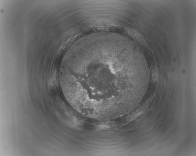 X0000069381060200605192143