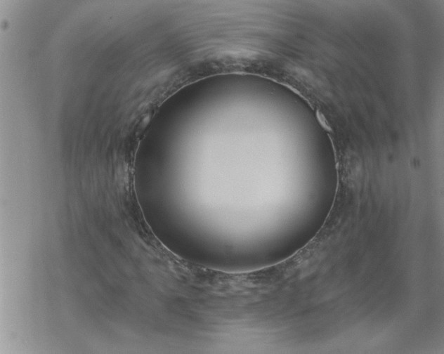 X0000069381061200605192143