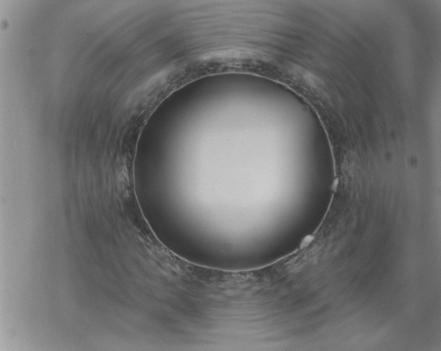 X0000069381062200605192143