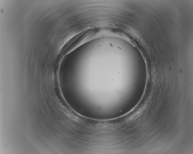 X0000069381065200605192143