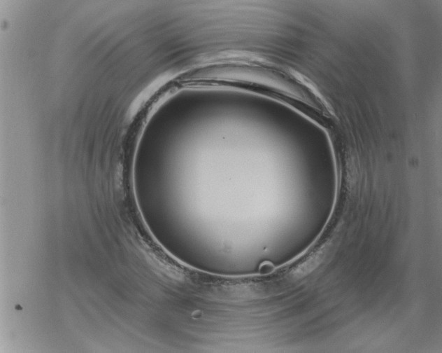 X0000069381066200605192143