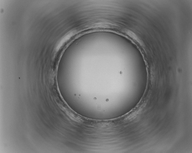 X0000069381067200605192143