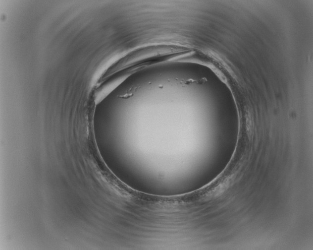 X0000069381069200605192143