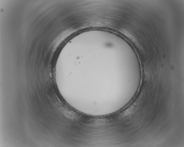 X0000069381070200605192143