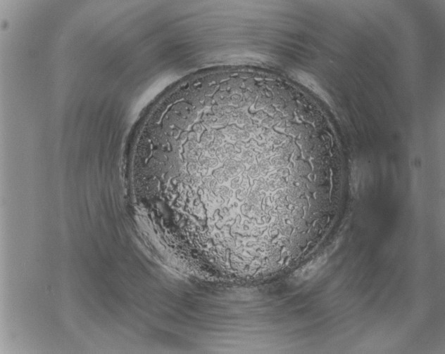 X0000069381071200605192143