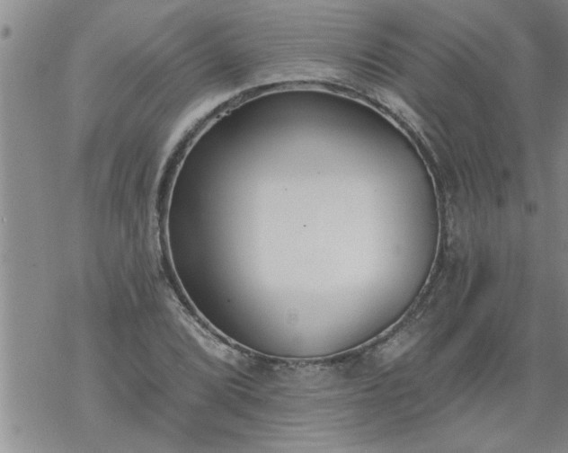 X0000069381072200605192143