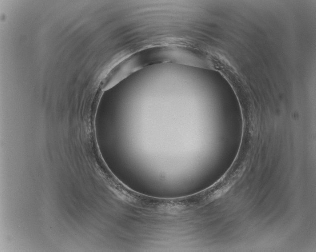 X0000069381073200605192143