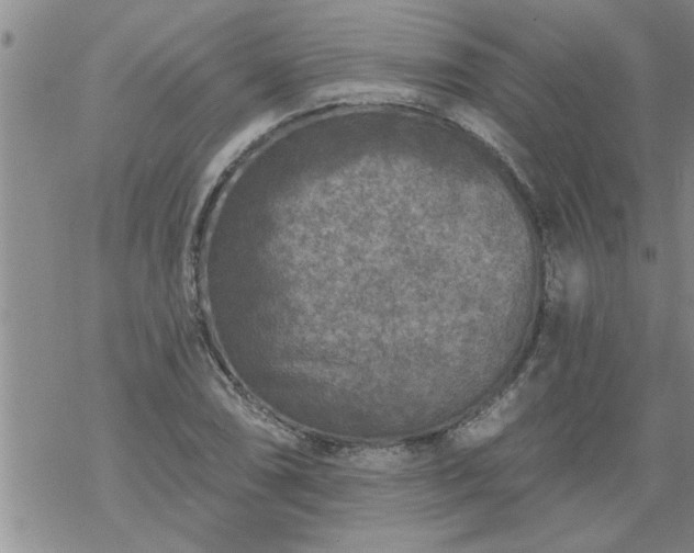 X0000069381074200605192143