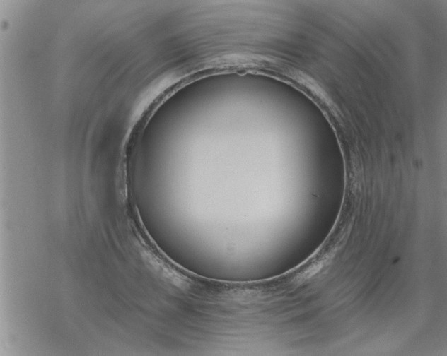 X0000069381075200605192143