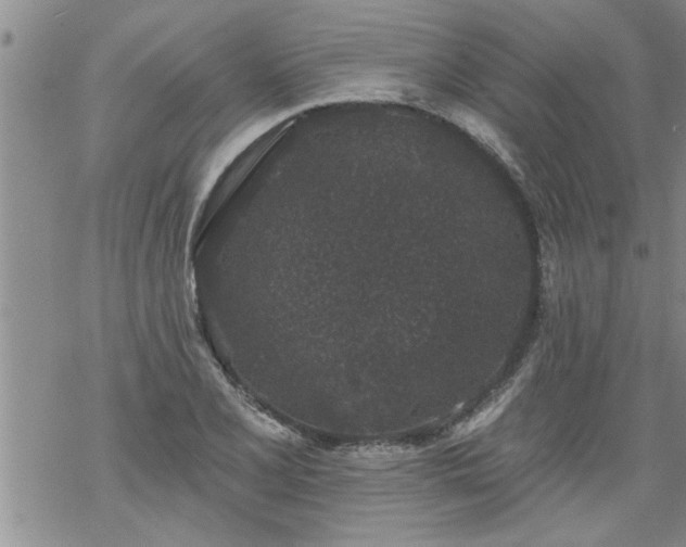 X0000069381077200605192143