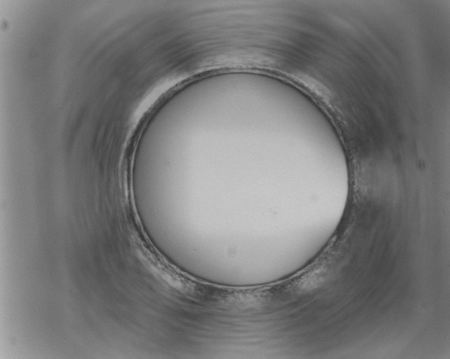 X0000069381078200605192143