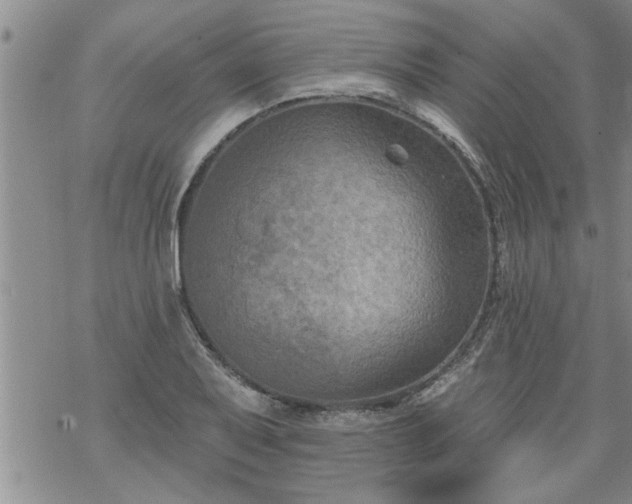 X0000069381079200605192143