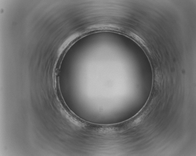 X0000069381082200605192143