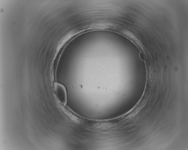 X0000069381083200605192143