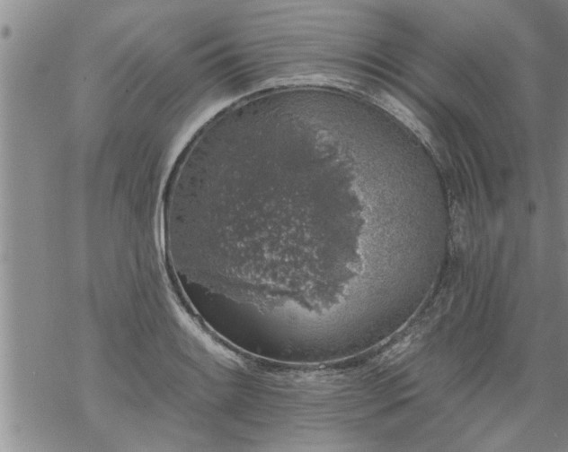 X0000069381084200605192143