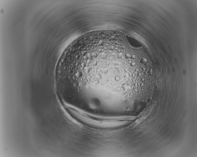 X0000069381087200605192143