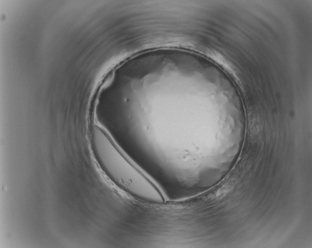 X0000069381088200605192143